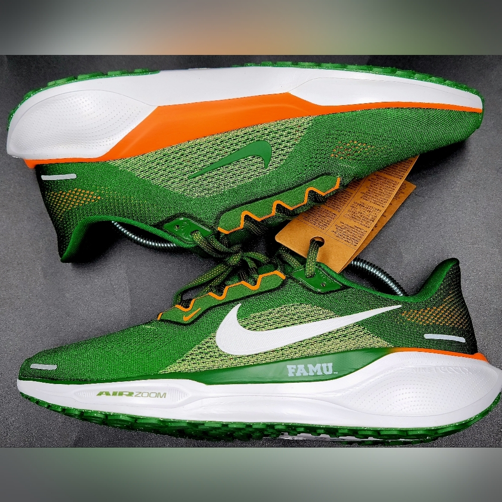 Nike College x Air Zoom Pegasus 41 Florida A&M Sz 10 Men NIB